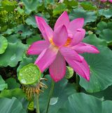 팜모닝 · 게시글 이미지