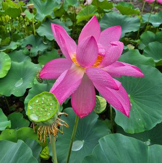 진문거사님의 작성글 사진