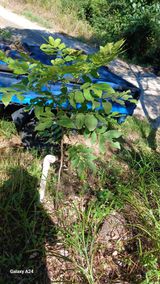 팜모닝 농사, 무엇이든 물어보세요!·참여글 게시글 이미지