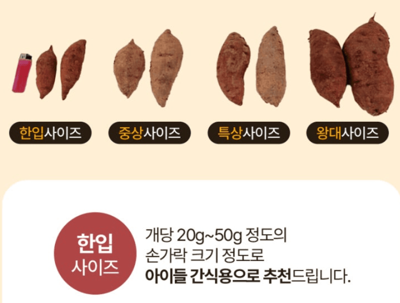 스피드번님의 장터 판매 상품 [해남 꿀밤고구마 ] 첨부 사진