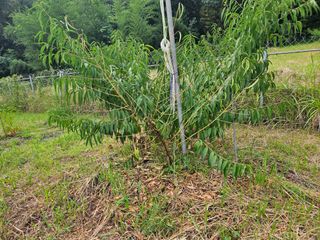 폼만농부님의 자유주제 · 자유게시판 작성글 사진