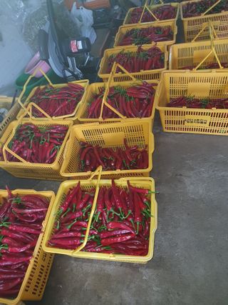 안비님의 자유주제 · 자유게시판 작성글 사진