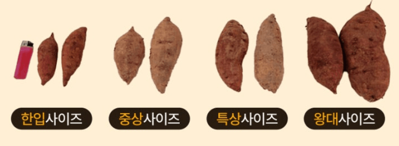 스피드번님의 장터 판매 상품 [해남 꿀밤고구마 ] 첨부 사진