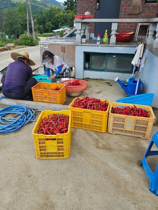 충남공주이도은님의 자유주제 · 자유게시판 작성글 사진