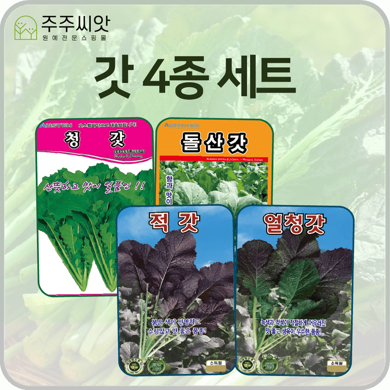 장터 상품 [갓 씨앗 4종 세트 / 청갓, 적갓, 얼청갓, 돌산갓 / 김장 채소 씨앗] 썸네일