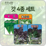 팜모닝 · 게시글 이미지