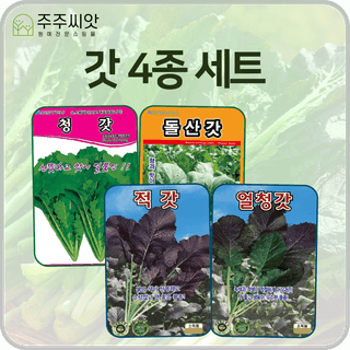 주주씨앗님의 작성글 사진