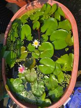 팜모닝 자유주제·자유게시판 게시글 이미지