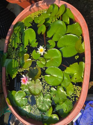 자연인님의 자유주제 · 자유게시판 작성글 사진