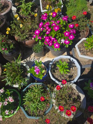 자연인님의 자유주제 · 자유게시판 작성글 사진