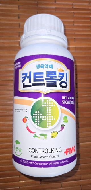 김광렬님의 자유주제 · 자유게시판 작성글 사진