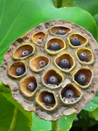 진문거사님의 작성글 사진