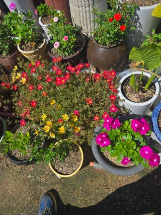 자연인님의 자유주제 · 자유게시판 작성글 사진