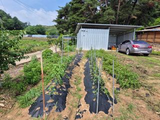 전홍열님의 자유주제 · 사진전 작성글 사진