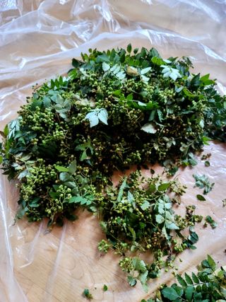 곶감님의 자유주제 · 자유게시판 작성글 사진