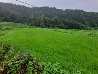 추장태님의 자유주제 · 자유게시판 작성글 사진