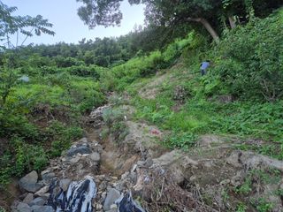 그린세상님의 자유주제 · 자유게시판 작성글 사진