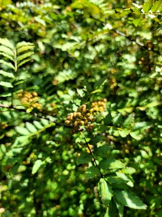 곶감님의 자유주제 · 자유게시판 작성글 사진