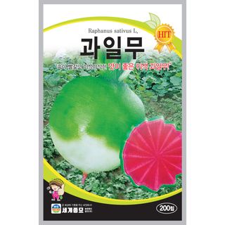 주주씨앗님의 작성글 사진