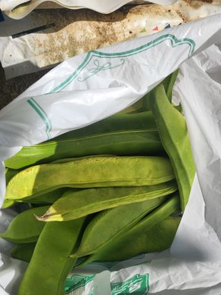 혜기농원(놀이터)님의 자유주제 · 자유게시판 작성글 사진