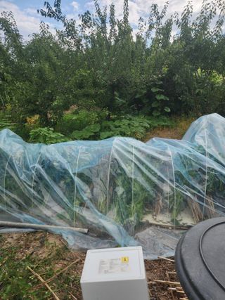 두릅나무님의 자유주제 · 자유게시판 작성글 사진