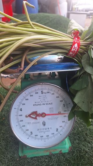 오남현님의 자유주제 · 자유게시판 작성글 사진