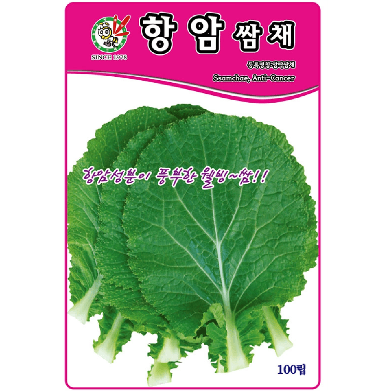 장터 상품 [[오스템] 항암쌈채 100립 / 하우스 사계절 재배 / 쌈채 씨앗] 썸네일