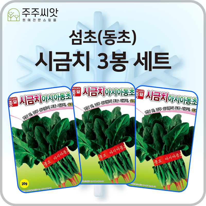 장터 상품 [아시아 월동시금치 씨앗 3봉 세트 / 섬초 동초 / 시금치 씨앗] 썸네일