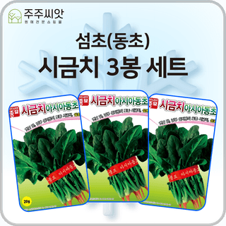 주주씨앗님의 작성글 사진