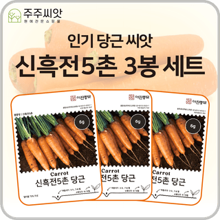 주주씨앗님의 작성글 사진