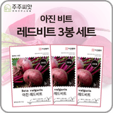 팜모닝 · 게시글 이미지