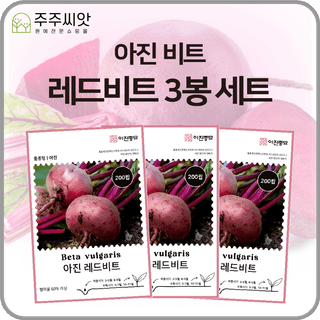 주주씨앗님의 작성글 사진