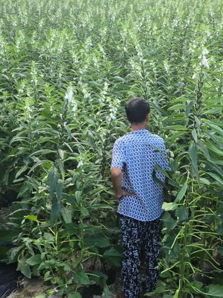 석송호두농원님의 자유주제 · 자유게시판 작성글 사진