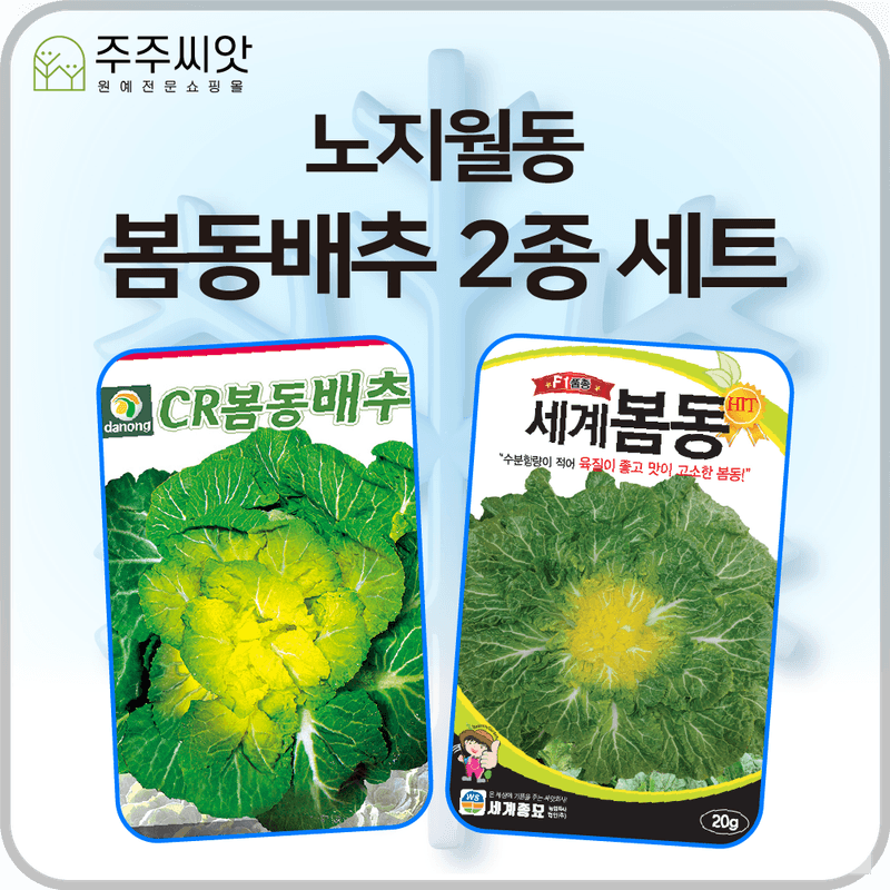 장터 상품 [봄동배추 씨앗 2종 세트 / 노지월동 / 김장배추 씨앗] 썸네일