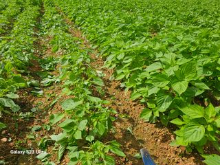 고구마18260님의 자유주제 · 자유게시판 작성글 사진