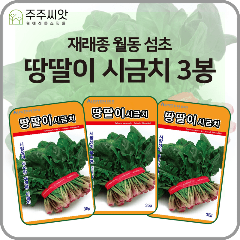 장터 상품 [땅딸이시금치 씨앗 3봉지 세트 / 재래종 월동 섬초 ] 썸네일