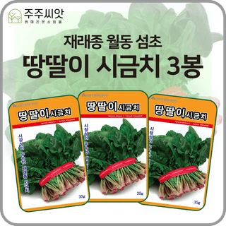 주주씨앗님의 작성글 사진