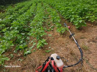 고구마18260님의 자유주제 · 자유게시판 작성글 사진