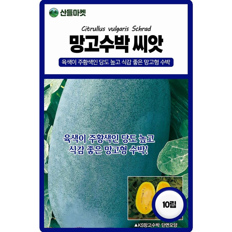 장터 상품 [망고수박 씨앗 10립 종자 5봉 구매시+랜덤씨앗 1개 증정] 썸네일