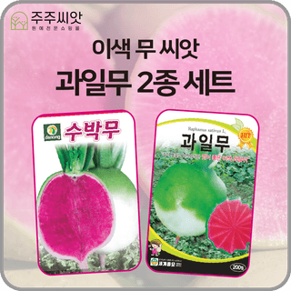 주주씨앗님의 작성글 사진