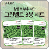 팜모닝 · 게시글 이미지