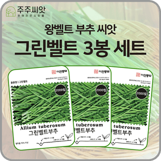 주주씨앗님의 작성글 사진