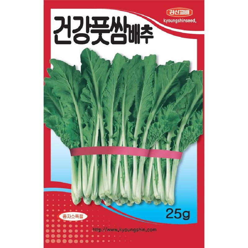 주주씨앗님의 장터 판매 상품 [촛대배추 3봉 세트 / 건강풋쌈배추 / 배추 씨앗] 첨부 사진