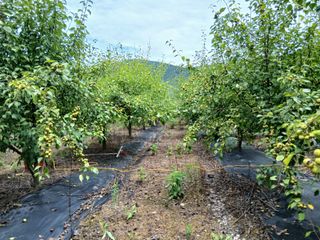 서영선님의 농사, 무엇이든 물어보세요! · 참여글 작성글 사진