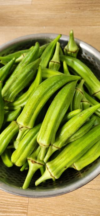 배순녀님의 자유주제 · 사진전 작성글 사진