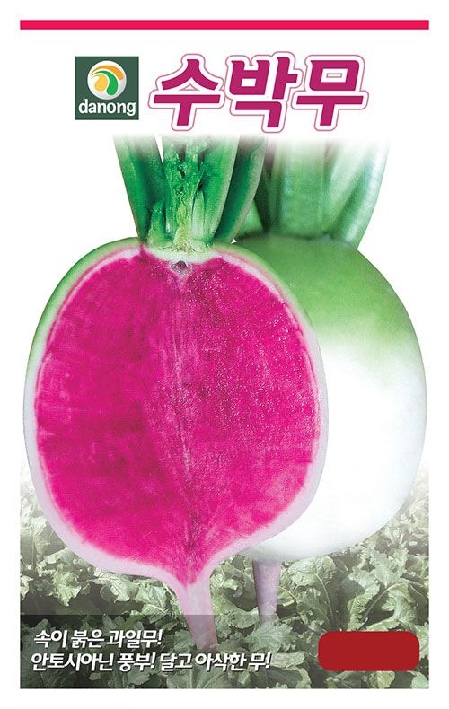 주주씨앗님의 장터 판매 상품 [이색 과일무 씨앗 2종 세트 / 과일무, 수박무 / 무 씨앗] 첨부 사진