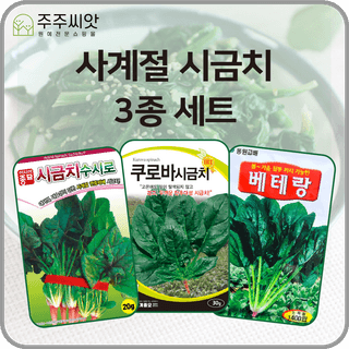 주주씨앗님의 작성글 사진