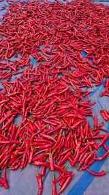 팜모닝 자유주제·자유게시판 게시글 이미지