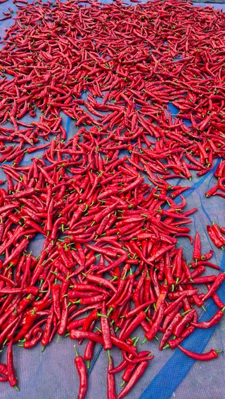 김진님의 자유주제 · 자유게시판 작성글 사진