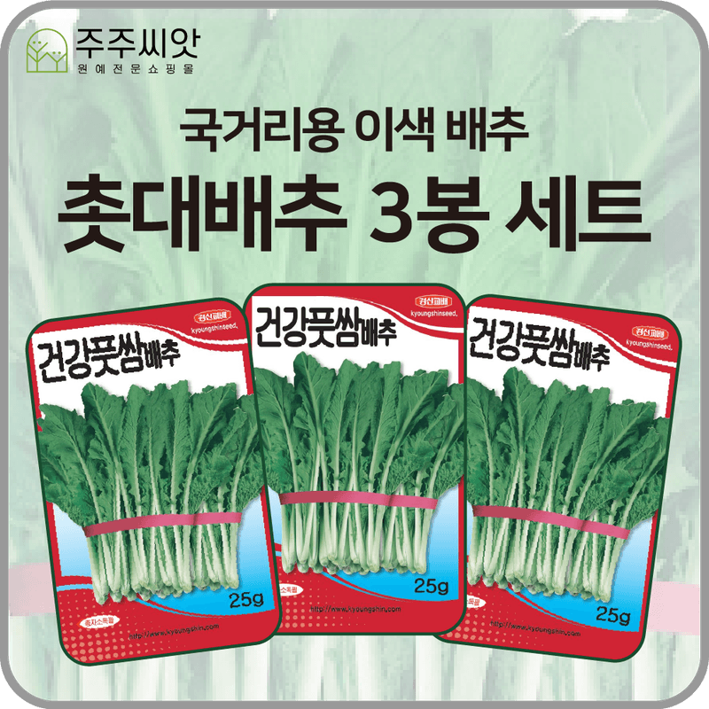 장터 상품 [촛대배추 3봉 세트 / 건강풋쌈배추 / 배추 씨앗] 썸네일